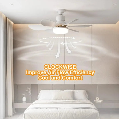 Ventilateur Plafonnier LED Décoratif